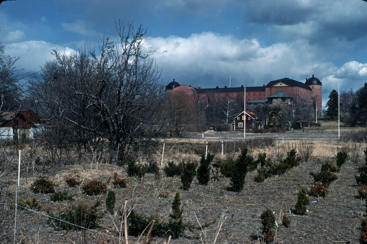Uppsala slott från Botaniska trädgården, Uppsala 