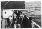 'Akka-expeditionen sommaren 1931: ::  :: 5 st män på däck, ombord på båten ''Skagerack''. ::  :: Ingår i serie med fotonr. 2182-2234.'