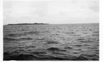 'Kattegattexpeditionen 1933: ::  :: Hesselö sedd från havet, sedd från sydsidan. Fyrtorn synligt. ::  :: Ingår i serie med fotonr. 2804-2826.'