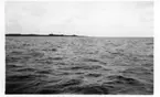 'Kattegattexpeditionen 1933: ::  :: Större delen av Hesselö sedd från havet. Fyrtorn synligt. ::  :: Ingår i serie med fotonr. 2804-2826.'