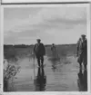 'Biologiska föreningens utfärd till Tåkern, Vadstena m.fl. platser: ::  :: Leonard Axel Jägerskiöld (med käpp) och 2 andra män iklädda keps promenerar i vattnet. Busk- och vassvegetation i sjön. Vy med barrskog på andra sidan sjön. ::  :: Se fotonr. 3588-3634 samt 3661-3677.'