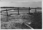 'Biologiska föreningens utfärd till Tåkern, Vadstena m.fl. platser: ::  :: Svanbo liggande på marken framför trähägnad, i bakgrunden sjön Tåkern. ::  :: Se fotonr. 3588-3634 samt 3661-3677.'