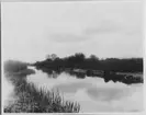 'Bilder från Hornborgasjön från: R. Söderberg: '' Hornborgasjön och dess fornsjöområde'' Del I 1932. ::  :: Vy över flod i landskap som förr varit sjöbotten. Sjösänkning. ::  :: Ingår i serie med fotonr. 4245:1-35.'