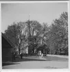 'Ingår serie 4385:1-27 från Biologiska föreningens utfärd till sjön Östen och Kinnekulle. ::  :: Västerplana kyrka (Jungfru Maria kyrka, 1100-tal), från kyrkoplanen. Några personer framför kyrkan.'