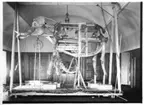 'Monteringen av Göteborgs Naturhistoriska museums elefant, från Angola. ::  :: Grundstommen till elefantmontaget under byggnation. Stommen med ''öppen centralbräda''. ::  :: Fynddatum: 1948-12-04. Elefanten skjuten och monterad av David Sjölander. ::  :: Elefanten finns utställd på Göteborgs Naturhistoriska Museum i däggdjurssalen. ::  :: Ingår i serie med fotonr. 4576:1-18.'