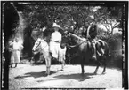 'Diverse fotografier från bl.a. dåvarande Nordrhodesia, nu Zambia, tagna av Konsul Magnus Leijer. ::  :: 1 st kvinna och 1 st man på varsin häst, 2 st pojkar (varav 1 delvis skymd med liten hund vid fötterna) ståendes bredvid. I bakgrunden tegelmur och träd.'