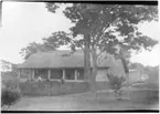 'Diverse fotografier från bl.a. dåvarande Nordrhodesia, nu Zambia, tagna av Konsul Magnus Leijer. ::  :: En kvinna stående i en liten inhägnad trädgård, framför ett hus. På verandaräcket är även en katt synlig. Fotograferad från avstånd.'