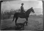 'Diverse fotografier från bl.a. dåvarande Nordrhodesia, nu Zambia, tagna av Konsul Magnus Leijer. ::  :: En man sittande på en häst, bredvid står en hund, samtliga fotograferade från sidan. I bakgrunden är mindre träd, vatten och berg synliga.'