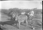 'Diverse fotografier från bl.a. dåvarande Nordrhodesia, nu Zambia, tagna av Konsul Magnus Leijer. ::  :: 2 män och ett barn i en vagn dragen av 2 åsnor. Bredvid står ytterligare en man. På andra sidan ligger en hund. Ekipaget fotograferat snett framifrån.'