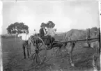 'Diverse fotografier från bl.a. dåvarande Nordrhodesia, nu Zambia, tagna av Konsul Magnus Leijer. ::  :: 2 kvinnor sittandes i en vagn bakom en häst. En man står bakom vagnen. I bakgrunden är träd och staket synliga.'