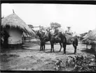 'Diverse fotografier från bl.a. dåvarande Nordrhodesia, nu Zambia, tagna av Konsul Magnus Leijer. ::  :: 3 st hästar, 1 st kvinna och 1 st man sittande på varsin, 1 st man hållande den tredje. Vid en enklare rund byggnad, vid sidan av, står 1st person.'