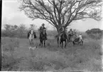 'Diverse fotografier från bl.a. dåvarande Nordrhodesia, nu Zambia, tagna av Konsul Magnus Leijer. ::  :: 1 kvinna och 2 män till häst, på ett fält, samt en man sittandes på en åsna (?), bakom honom är en flicka i ståendes i en säng, synlig.'