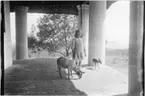 'Diverse fotografier från bl.a. dåvarande Nordrhodesia, nu Zambia, tagna av Konsul Magnus Leijer. ::  :: En flicka ståendes med ett getdjur och ett lamm på en stenbelagd veranda med höga kolonner, i bakgrunden är landskapet synligt.'