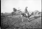 'Diverse fotografier från bl.a. dåvarande Nordrhodesia, nu Zambia, tagna av Konsul Magnus Leijer. ::  :: 1 st man ridande på tjur, fotograferad från sidan, i bakgrunden är ett flertal människor synliga, samt tält och enklare byggnad och staket.'