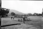 'Diverse fotografier från bl.a. dåvarande Nordrhodesia, nu Zambia, tagna av Konsul Magnus Leijer. ::  :: Negativet delvis skymt, synligt på kopian. ::  :: Soldater stående på rad på en äng med promenerande människor omkring. I förgrunden en hund i en plantering.'