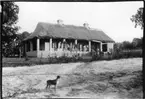 'Diverse fotografier från bl.a. dåvarande Nordrhodesia, nu Zambia, tagna av Konsul Magnus Leijer. ::  :: Tegelhus med veranda och halmtak, på verandan står en man, en kvinna och en hund. Fotograferade från avstånd. I förgrunden är ytterligare en hund synlig.'