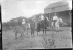 'Diverse fotografier från bl.a. dåvarande Nordrhodesia, nu Zambia, tagna av Konsul Magnus Leijer. ::  :: 1 st man hållande åsna med 1 st flicka. Bredvid står en zebra. På andra sidan sitter 1 st kvinna och 1 st man på varsin häst. Samtliga framför en byggnad.'