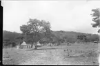 'Diverse fotografier från bl.a. dåvarande Nordrhodesia, nu Zambia, tagna av Konsul Magnus Leijer. ::  :: Ett fåtal hyddor och enklare byggnader på en öppen plats med ett fåtal träd, omkring är skog synligt. Även ett fåtal människor är synliga.'