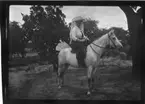 'Diverse fotografier från bl.a. dåvarande Nordrhodesia, nu Zambia, tagna av Konsul Magnus Leijer. ::  :: En kvinna sittande på en häst, fotograferad från sidan. Bakom henne är träd och staket bl.a. synligt.'