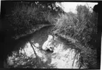 'Diverse fotografier från bl.a. dåvarande Nordrhodesia, nu Zambia, tagna av Konsul Magnus Leijer. ::  :: En flicka badande i en bäck med högt gräs runt omkring. Hon sitter på huk, ler och tittar in i kameran.'