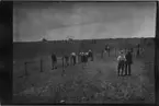 'Diverse fotografier från bl.a. dåvarande Nordrhodesia, nu Zambia, tagna av Konsul Magnus Leijer. ::  :: 13 män och pojkar vid/i närheten av ett staket, tittandes på en hästkapplöpning. 2 hästar m ryttare är synliga.'