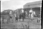 'Diverse fotografier från bl.a. dåvarande Nordrhodesia, nu Zambia, tagna av Konsul Magnus Leijer. ::  :: 1 st kvinna och 1 st man sittande på varsin häst, på ena sidan av dem står 1 st man på andra sidan,  1 st man hållande åsna med 1 st flicka på. Zebra bredvid.'