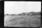 'Diverse fotografier från bl.a. dåvarande Nordrhodesia, nu Zambia, tagna av Konsul Magnus Leijer. ::  :: Vy över natur omgivande ett antal byggnader, en inhägnad av staket. Även träd och flaggstång är synlig.'