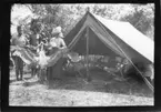 'Diverse fotografier från bl.a. dåvarande Nordrhodesia, nu Zambia, tagna av Konsul Magnus Leijer. ::  :: 1 st man och 1 st kvinna stående och hållande varsin vinge av en stor fågel, så att dessa är utspända. Man med huvudbonad bakom. De står framför ett tält, där stolar är synliga, och bakom dem är ytterligare människor synliga.'