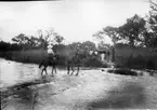 'Diverse fotografier från bl.a. dåvarande Nordrhodesia, nu Zambia, tagna av Konsul Magnus Leijer. ::  :: 1 st man och 1 st kvinna ridande över ett vattendrag på stranden står 6 st män och 1 st  barn med packning. Även en hund i vattnet.'