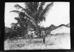 'Diverse fotografier från bl.a. dåvarande Nordrhodesia, nu Zambia, tagna av Konsul Magnus Leijer. ::  :: 1 st kvinna med parasoll sittande i en vagn dragen av 1 st man. Bakom dem är byygnader och träd synliga.'