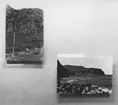 'Avfotografering av utställningen: Rundøy -fågelö på Skandinaviens västkant, 1966-10-22-1966-12-15: ::  :: Foto på utställningsskärm visande får i hage nedanför berg samt kusten med klippor. ::  :: Ingår i serie med fotonr. 6982:1-19.'