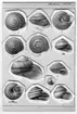 'Landmollusker från Celebes insamlade av Walter Kaudern under hans expedition 1916-1920, bestämda av Nils Odhner: :: Nr 5) Vitrinoconus altus n. sp. X 3,5? :: Nr 16) Obba celebensis n. sp. Nat. Gr. ? :: Nr 17) Obba celebensis n. sp. Nat. Gr. ? :: Nr 18) Obba celebensis n. sp. Nat. Gr. ? :: Nr 19) Obba celebensis n. sp. Nat. Gr. ? :: Nr 20) Obba celebensis n. sp. Nat. Gr. ? :: Nr 21) Hesta bandermi n. pp. Nat. Gr.? :: Nr 22)  Hesta bandermi n. pp. Nat. Gr.? :: Nr 23) Hesta bandermi n. pp. Nat. Gr.? ::  ::  ::  :: Se även fotonr. 7010:2.'