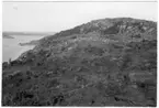 'Vy över Älgön ner mot havet. I förgrunden buskvegetation med enar? Stenmur löpande ner mot stranden och i fonden delvis kalt berg. ::  :: Fotonr. 7046:1-84 indelade som ''Landskapsbilder från Göteborgs- och Bohus län.'' Ingår i serie med fotonr. 7046:1-383, 7047:1-33 och 7048:1-67 med bilder från  Länsjägmästare John Lindners bildarkiv.'