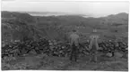 'Bildtext: ''Granåsen, väster om Bäckevik, Stenkyrka socken.'' 2 män stående framför stenmur. Vy med havet i fonden och hus på avstånd. Stengärdesgård. ::  :: Fotonr. 7046:1-84 indelade som ''Landskapsbilder från Göteborgs- och Bohus län.'' Ingår i serie med fotonr. 7046:1-383, 7047:1-33 och 7048:1-67 med bilder från  Länsjägmästare John Lindners bildarkiv.'