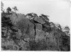 'Bildtext: ''Jätteblock.'' Vy med stort stenblock liggande ovanpå berg. Trädvegetation med tall. ::  :: Fotonr. 7046:85-118 indelade som ''Geologiska bilder från Göteborgs- och Bohus län.'' Ingår i serie med fotonr. 7046:1-383, 7047:1-33 och 7048:1-67 med bilder från  Länsjägmästare John Lindners bildarkiv.'