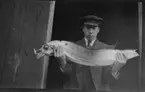 'Man håller upp den vågmären, iklädd keps. ::  :: Fisken funnen på Island sommaren 1923 ::  :: Se även fotonr. 794.'