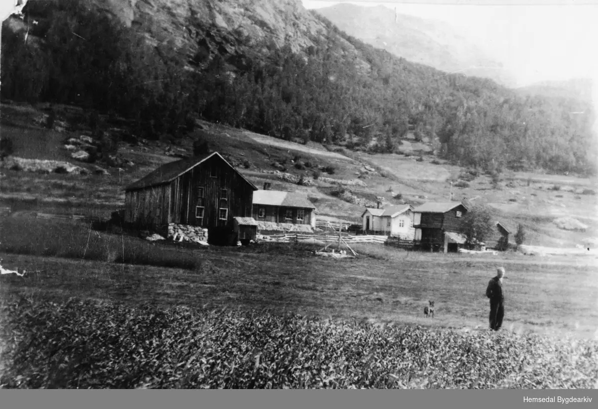 Garden Kyrkjebøen,69.1, i Hemsedal