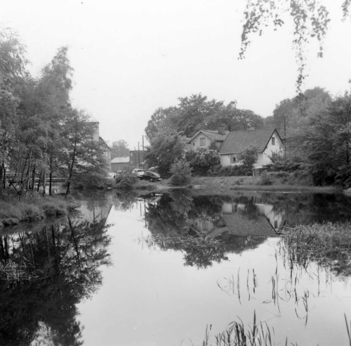 Mölndalsån, uppströms Forsebron, den 1/6-1961.