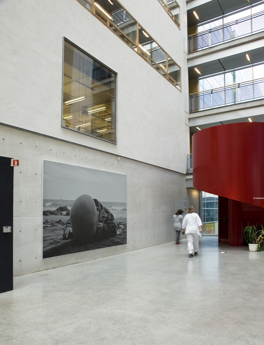 Fotografiet er nesten tre meter bredt, og det runde hodet til babyen troner monumentalt i rommet - som en fantastisk klode, mystisk og uutgrunnelig. Sandberg understreker det voluminøse ved hodeformen og gjør den skulpturell, definert av den mørke skyggen i forgrunnen og lyset som faller inn ovenfra i bildet. Det blir som en abstrakt form, forsterket av at vi ikke ser ansiktet som ligger vendt ned i frottéhåndkleet. Barnet vender seg bort fra verden og inn mot seg selv, mot et underliggende mørke, mot jorden. Bildet får med det en dimensjon som gjør det til noe langt mer enn et sentimentalt barnemotiv. Samtidig er det rørende menneskelige detaljer som avtegner seg - de små rynkete, babyrunde hendene, eller det mønstrede sjalet lagt beskyttende omkring barnet. Den enkle scenen får en større resonans, som et bilde på menneskets utsatte eksistens mellom himmel og jord, liv og død, i et uendelig univers. Motivet er også et memento for den biologiske vitenskapen dette bygget er viet. Det peker konkret på det elementære grunnlaget for denne kunnskapen, selv det enkle og uforståelige faktum at det finnes menneskelig liv, i et univers som gjør liv mulig. I et slikt perspektiv kan Sandbergs bilde assosiere til livets evolusjonsmessige utviklingshistorie, fra dets opprinnelse i vann og til mennesket reiser seg opp på to og blir en biped – en historie hvert barn på sett og vis rekapitulerer i sin egen utvikling.