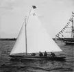 Segeljakten MYGGAN under Oscar II:s Jubileumsår-Regatta 1897