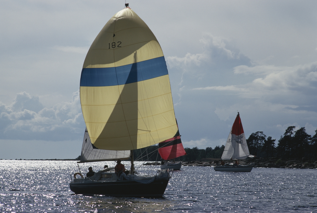 Kappsegling med Albin Vega