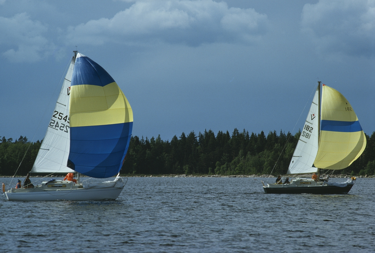 Kappsegling med Albin Vega