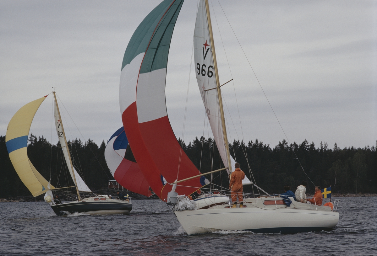 Kappsegling med Albin Vega.