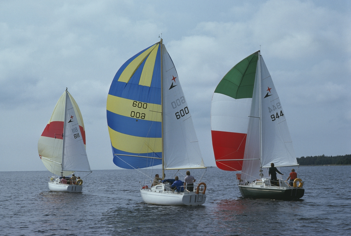 Tre Albin Viggen seglar för spinnaker.