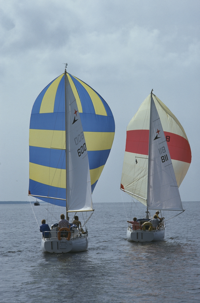 Två Albin Viggen seglar för spinnaker