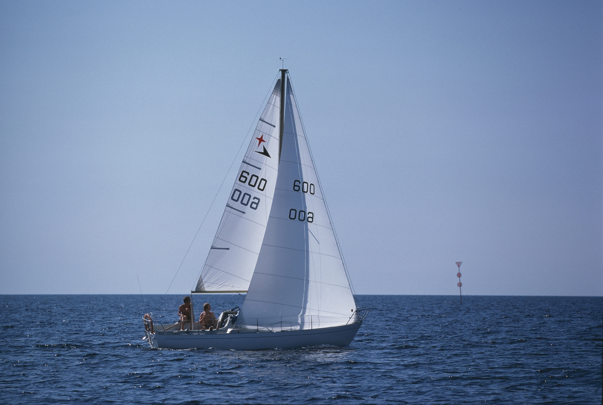 Albin Viggen