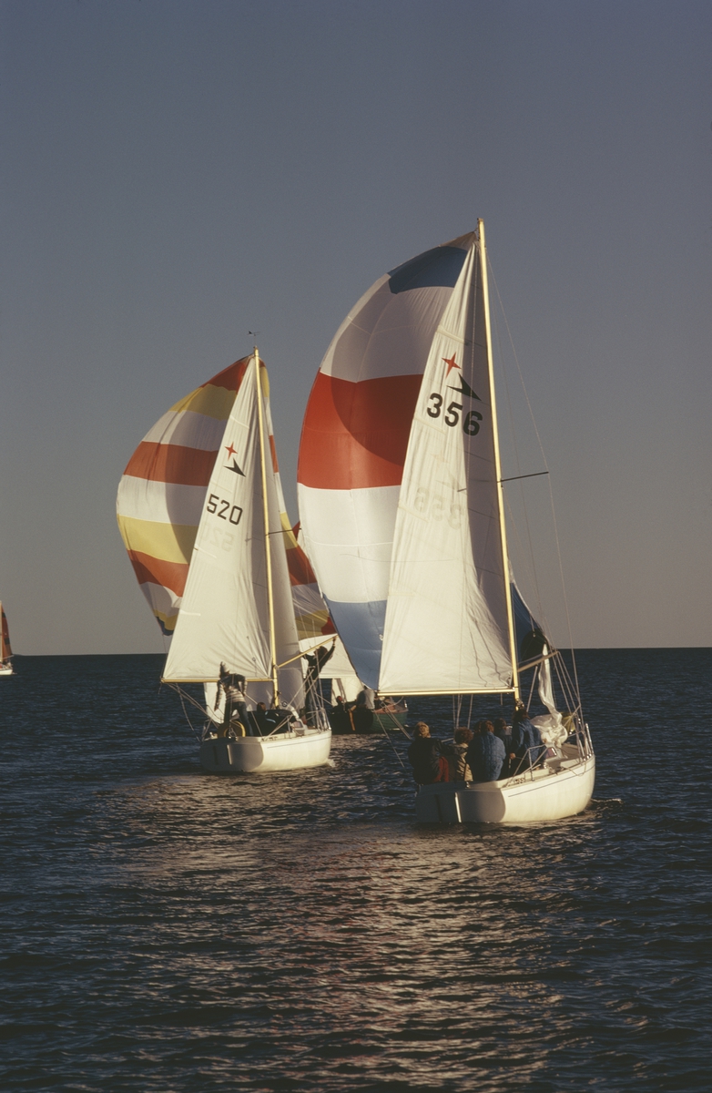 Två Albin Viggen seglar för spinnaker.