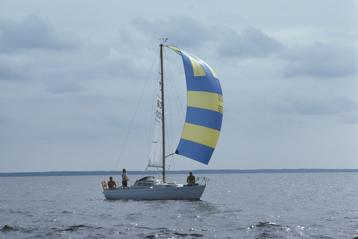 Albin Viggen seglar för spinnaker