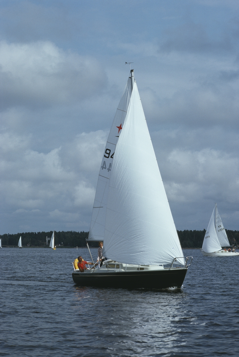 Albin Viggen