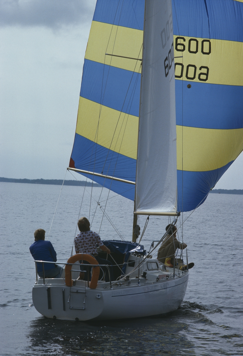 Albin Viggen seglar för spinnaker.